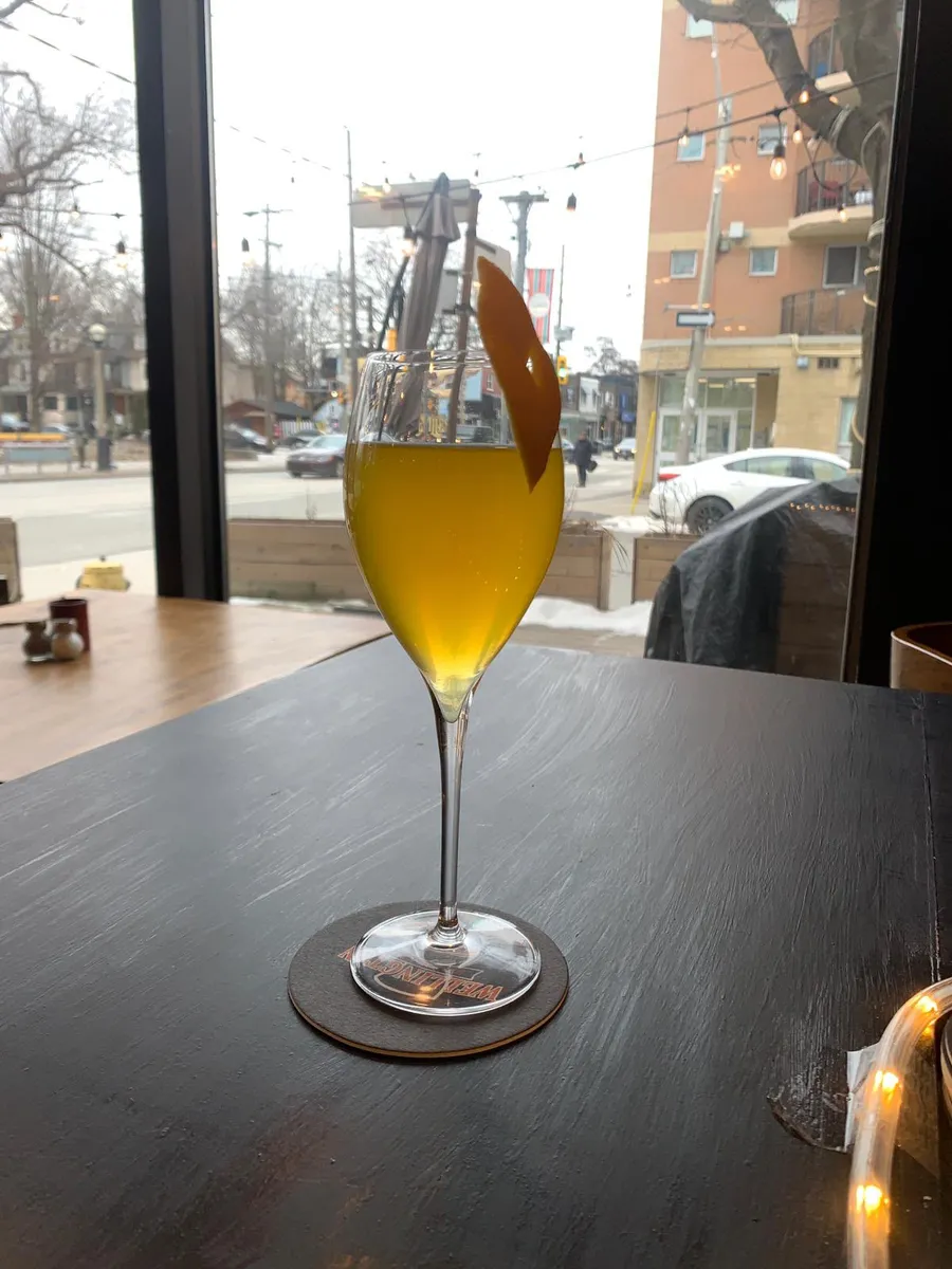 Craft beer pints on a wooden bar in a cozy Toronto neighbourhood setting